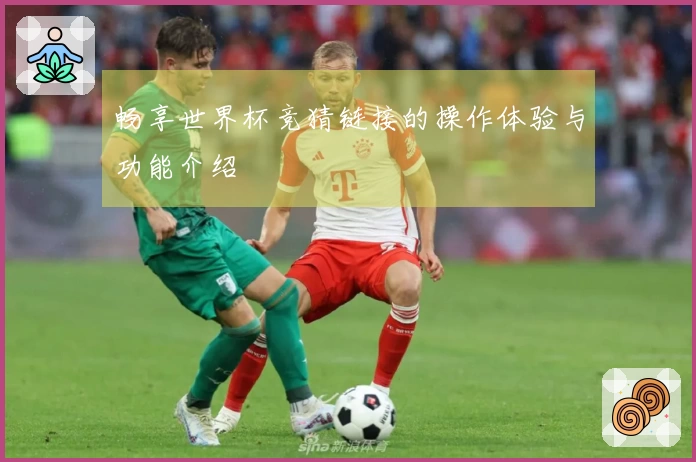 畅享世界杯竞猜链接的操作体验与功能介绍