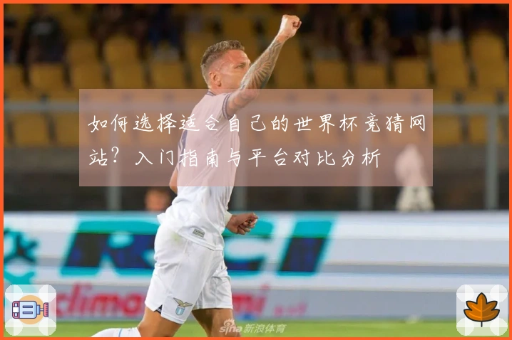 如何选择适合自己的世界杯竞猜网站?入门指南与平台对比分析