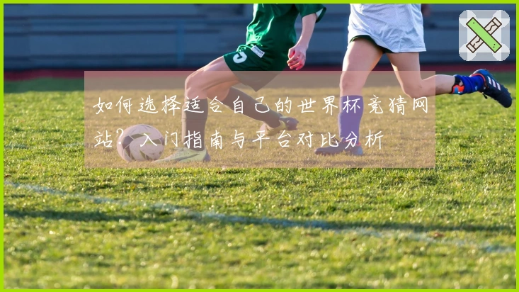 如何选择适合自己的世界杯竞猜网站？入门指南与平台对比分析