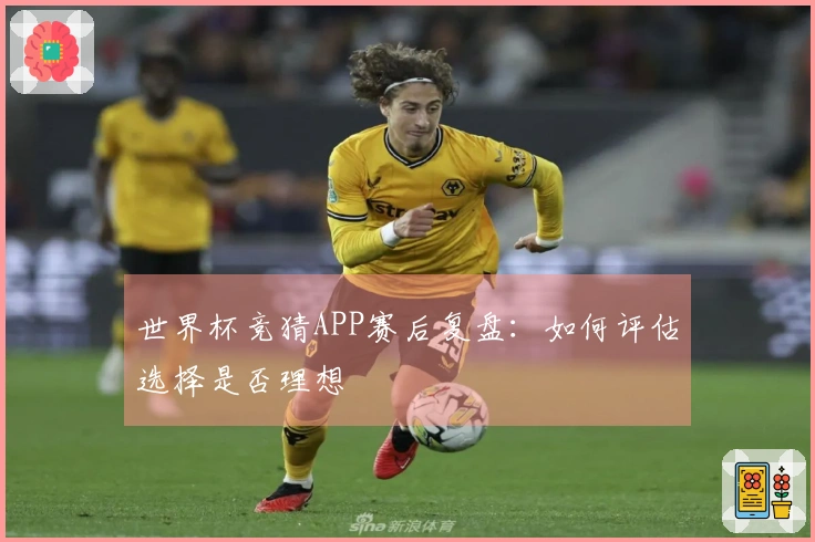 世界杯竞猜APP赛后复盘:如何评估选择是否理想