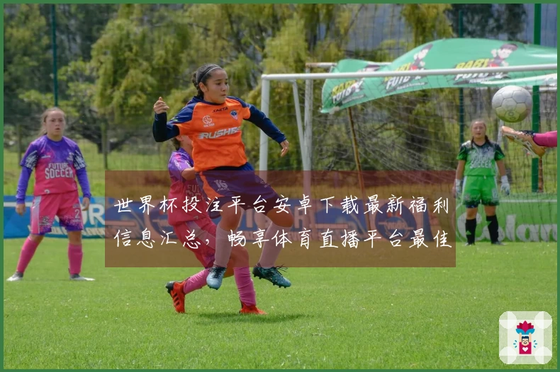 世界杯投注平台安卓下载最新福利信息汇总,畅享体育直播平台最佳体验
