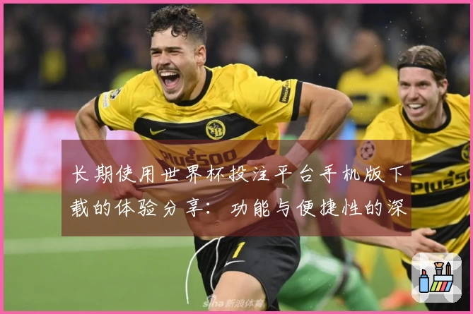 长期使用世界杯投注平台手机版下载的体验分享：功能与便捷性的深度评测