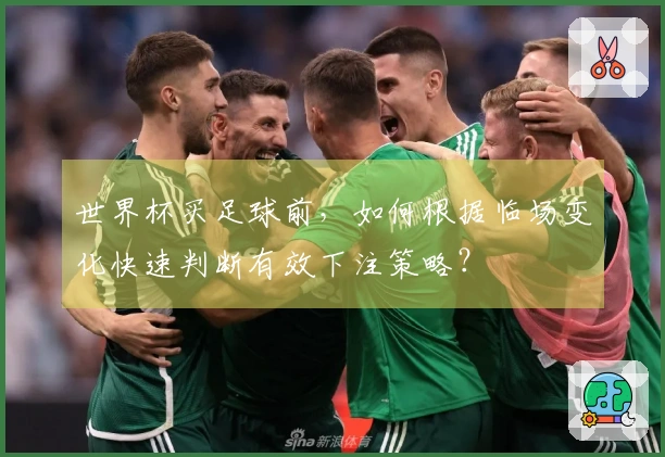 世界杯买足球前，如何根据临场变化快速判断有效下注策略？