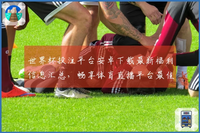 世界杯投注平台安卓下载最新福利信息汇总，畅享体育直播平台最佳体验