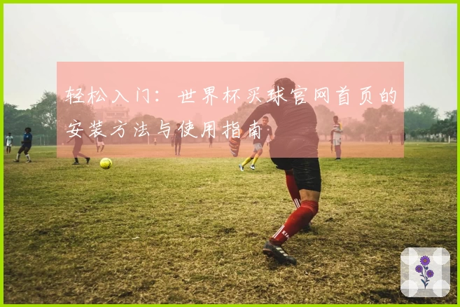 轻松入门：世界杯买球官网首页的安装方法与使用指南
