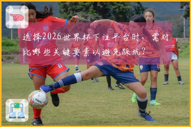 选择2026世界杯下注平台时，需对比哪些关键要素以避免踩坑？