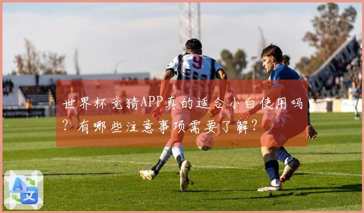 世界杯竞猜APP真的适合小白使用吗？有哪些注意事项需要了解？