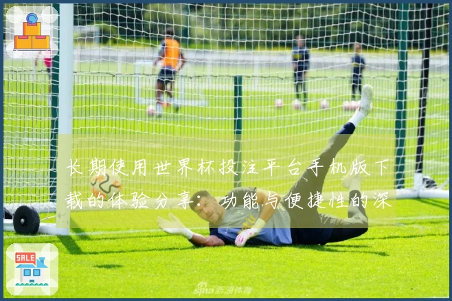 长期使用世界杯投注平台手机版下载的体验分享：功能与便捷性的深度评测